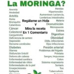 La Moringa: Receta Tradicional y Beneficios para la Salud