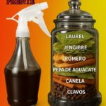 Crece Pelo Natural: Las Mejores Especias y Hierbas para un Cabello Saludable