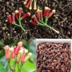 Cultivo Fácil de Clavos de Olor: De la Semilla a la Especia
