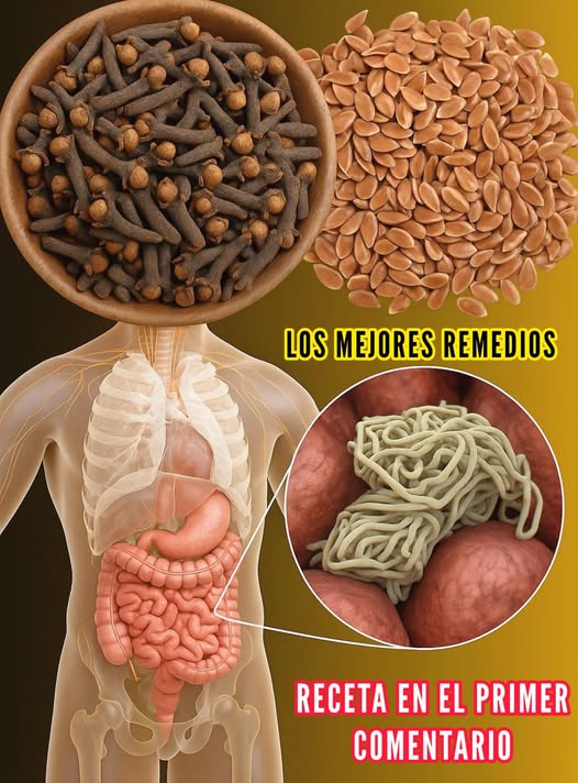 Remedios Naturales para la Salud Digestiva