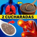 Beneficios de Comer Semillas de Chía por la Noche: Una Semana de Resultados