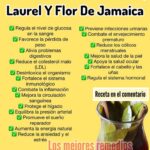 Descubre los Múltiples Beneficios del Té de Canela, Laurel y Flor de Jamaica