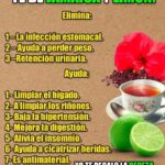 Beneficios del Té de Jamaica y Limón: Un Remedio Natural Poderoso