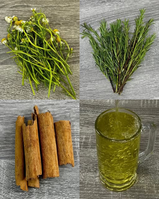 Ingredientes naturales para infusión