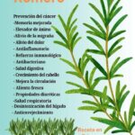 Té de Romero en Ayunas: El Elixir Natural para Desintoxicar, Sanar y Fortalecer tu Cuerpo