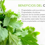 El Cilantro te ayuda en esto – Frank Suárez