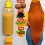 Shampoo Casero de Romero, Canela y Pepa de Aguacate para Fortalecer y Estimular el Crecimiento del Cabello